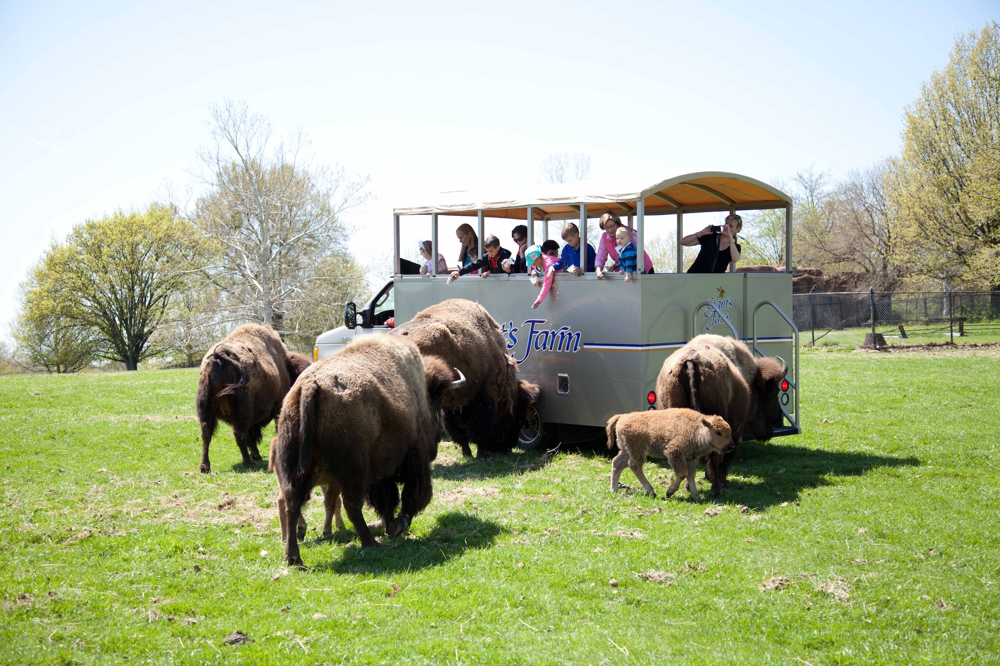grants farm seasonal events