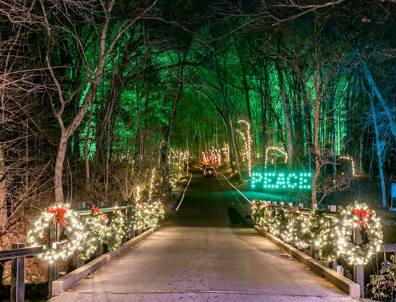 holiday lights drive through - image 1