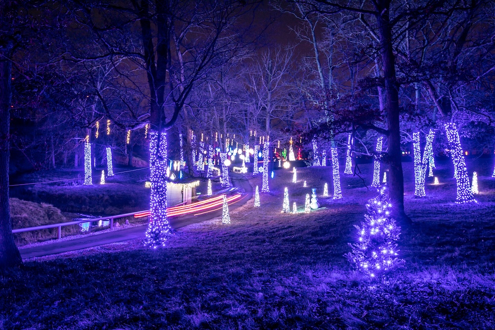 holiday lights drive through image 3