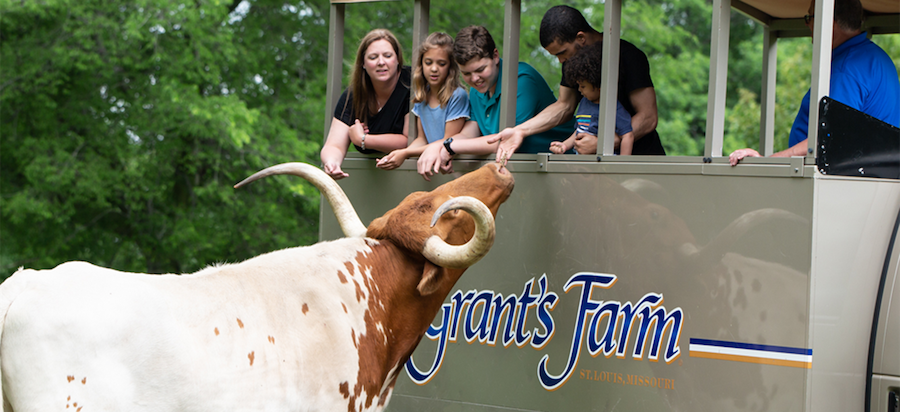 grants farm st louis