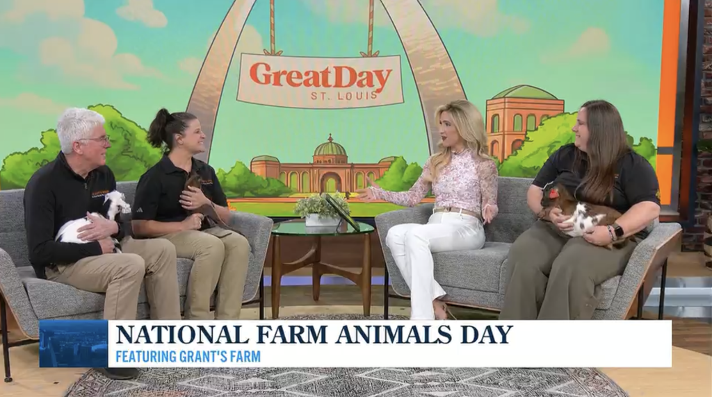 farm animals